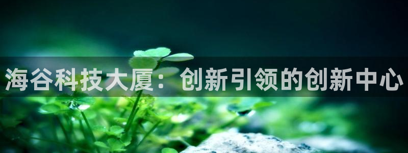 金年会官方在线入口网站下载