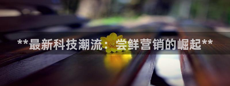 金年会官方娱乐app下载安装