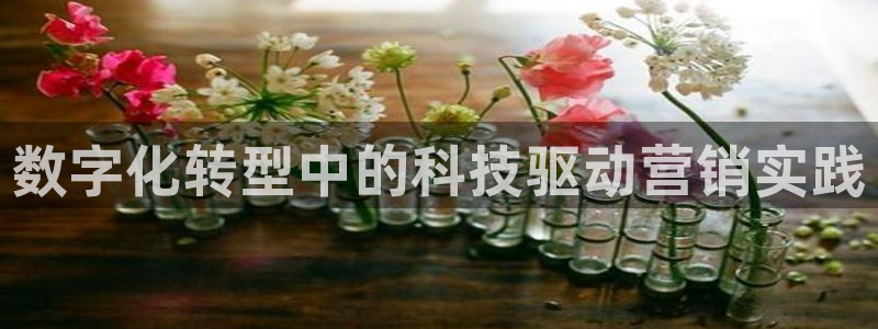 金年会黑平台不给出款
