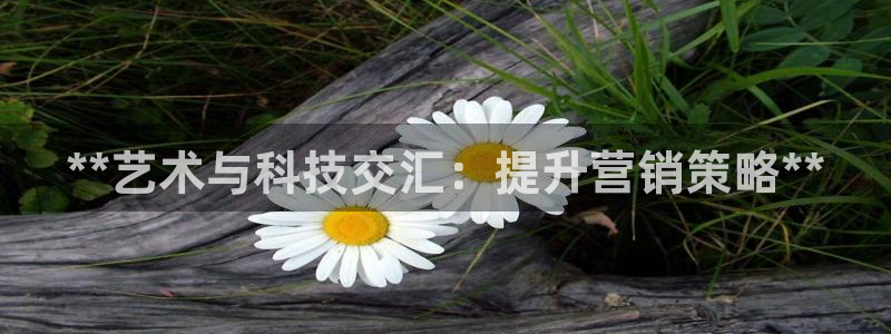 金年会登录网址