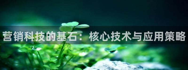 金年会官方登录入口手机版