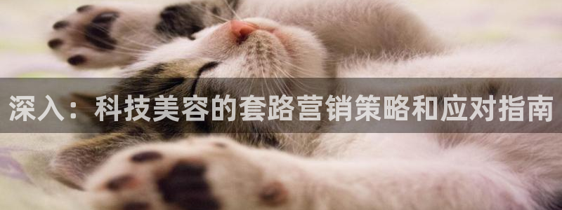 金年会ios版下载官网