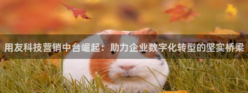 金年会·会官方入口登录