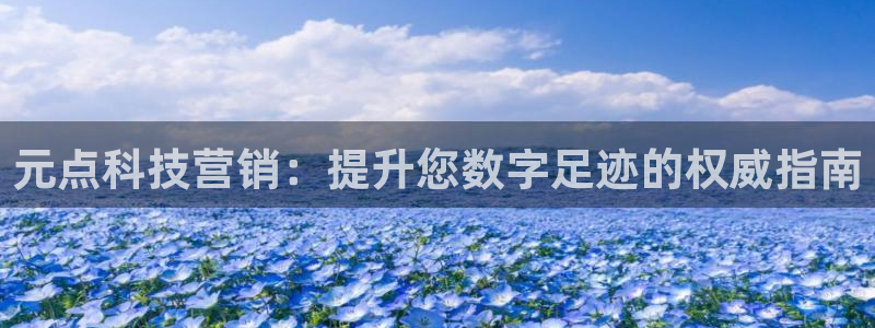 金年会VIP网页版在线登录入口