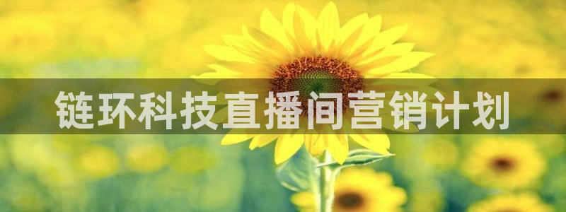 金年会平台怎么样