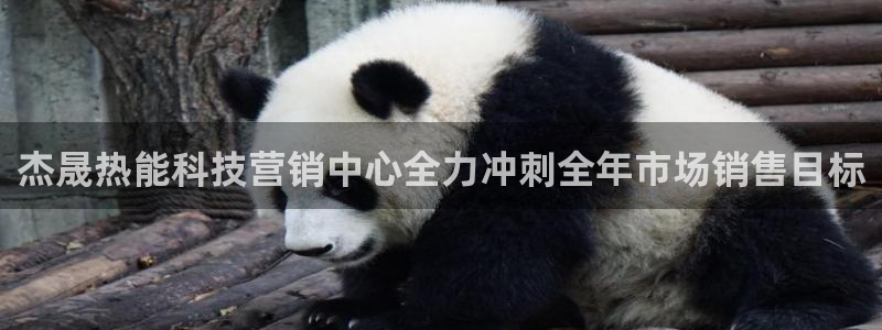 金年会平台真他妈坑人