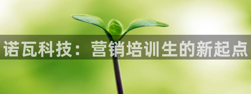 金年会体育app最新官网下载