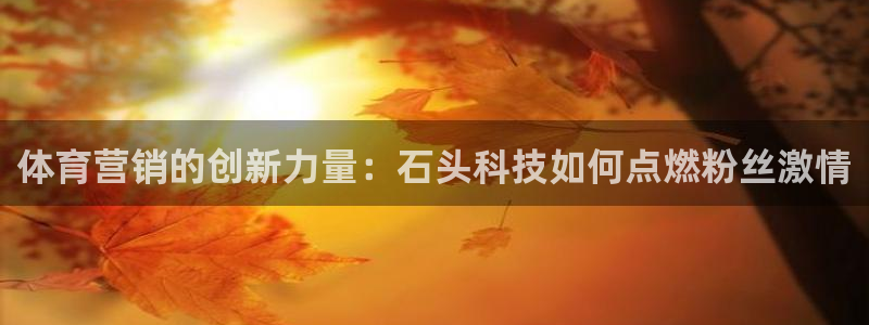 金年会体育平台是真的吗