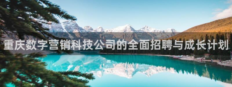 金年会赌博