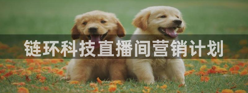 金年会官方在线入口网站下载