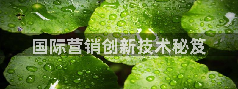 金年会网站入口