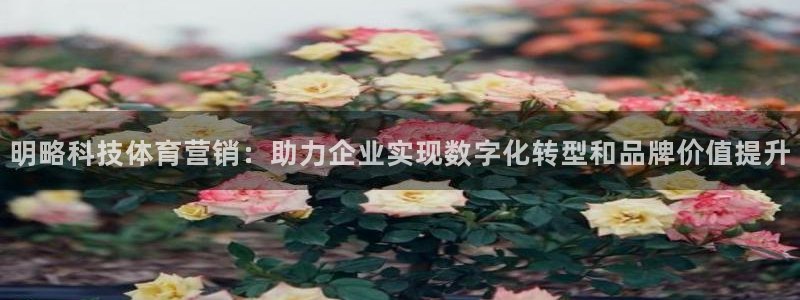 金年会网站不给出款怎么办