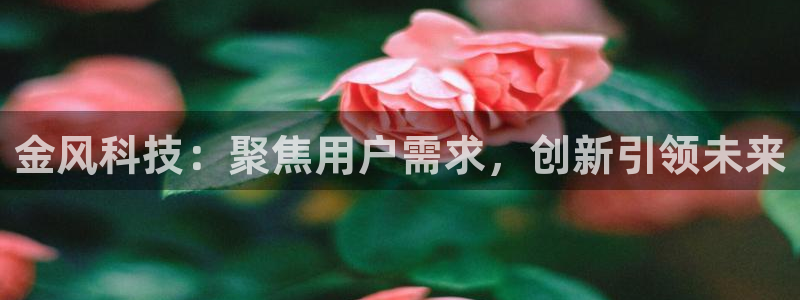 金年会体育平台怎么样