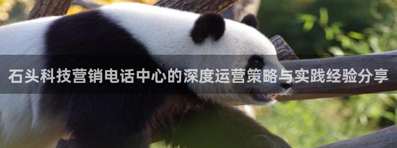 金年会官方网址查询