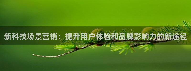 金年会官方平台是什么
