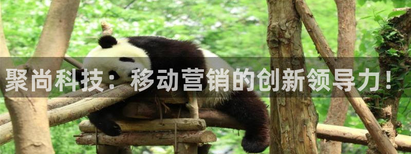 金年会信誉至上是什么意思