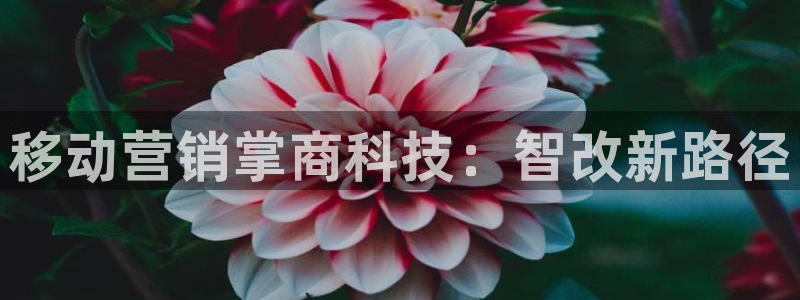 金年会体育app下载官网苹果