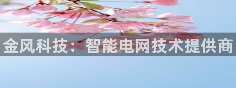 金年会手机版·(中国)官方网站-app下载