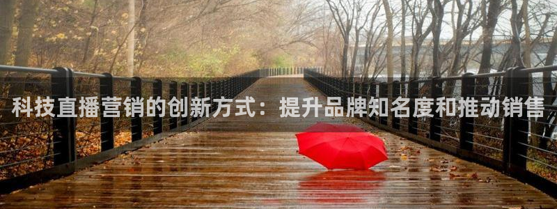 金年会网站怎么样
