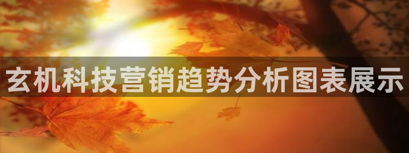 金年会ivp