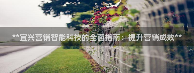 金年会体育网站