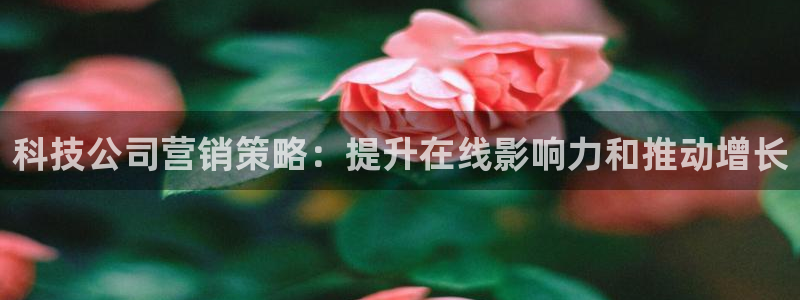 金年会官方网址查询
