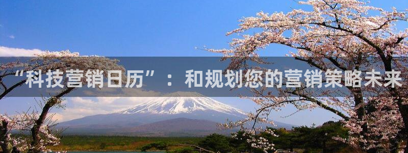 金年会网站不给出款怎么办