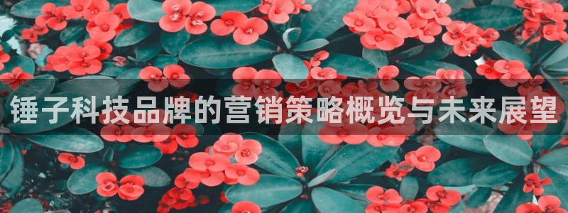 金年会官方在线入口网址是多少号