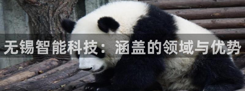 金年会官方app下载