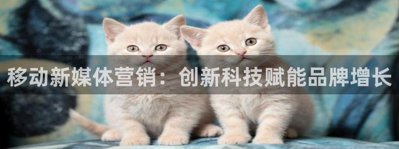 金年会体育买球