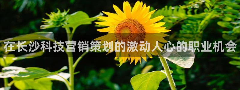 金年会诚信至上