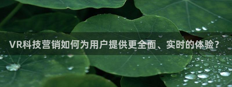 金年会体育app属于正规平台吗