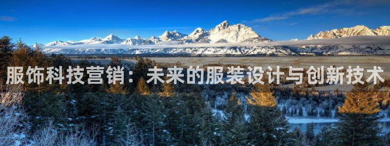 金年会官方在线入口网址