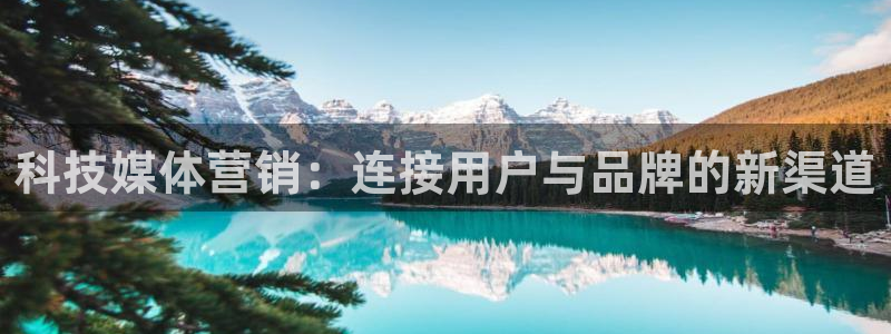 金年会金字招牌至上