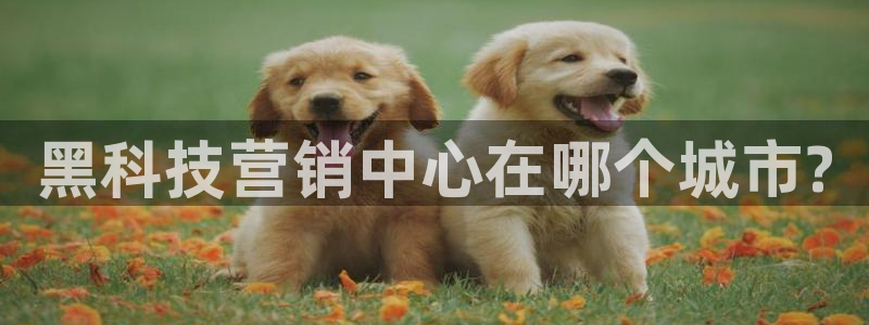 金年会电子游戏app