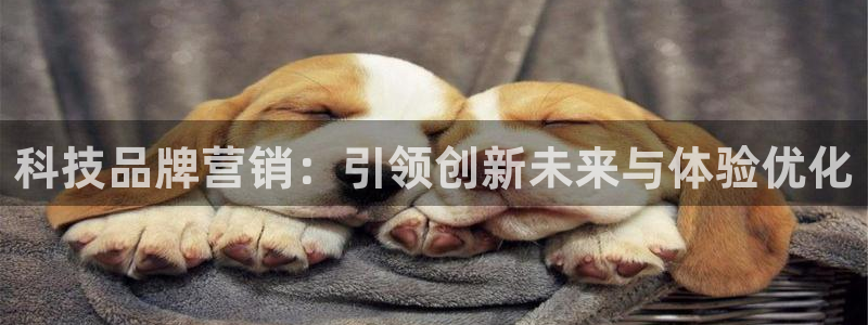 金年会ios版下载