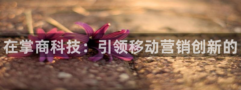 金年会电子游戏