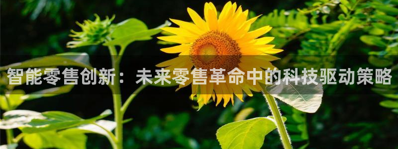 金年会下载官方app