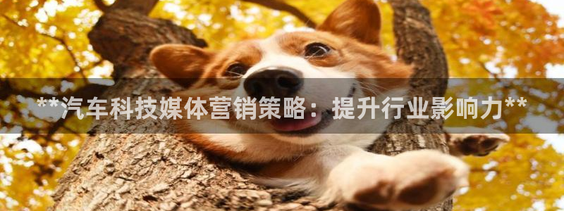 金年会官方网站入口