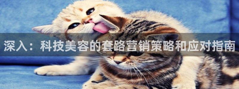 金年会电子官网