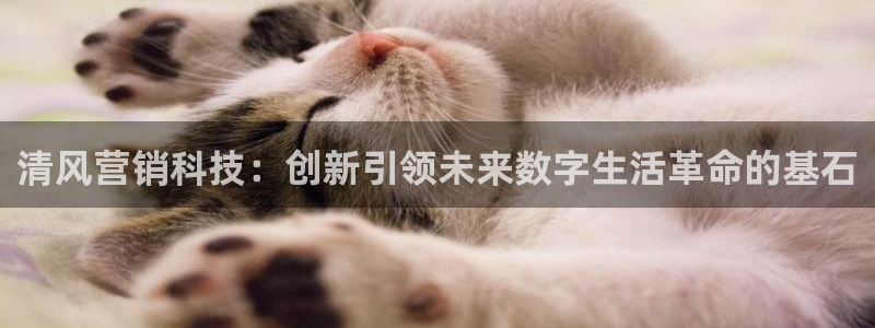 金年会官方平台官网