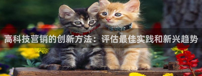 jinnianhui金年会世界杯