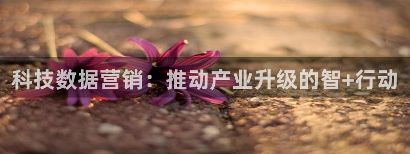 金年会app官方网站下载