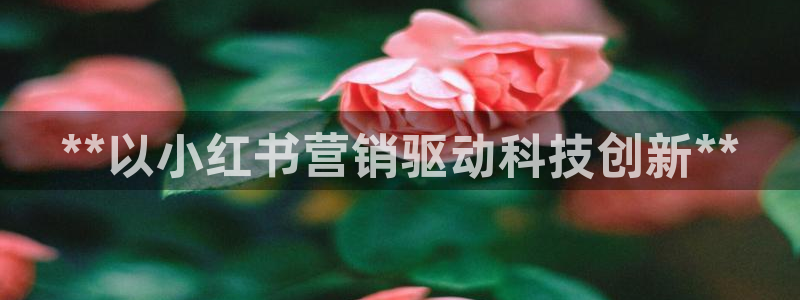 金年会金字招牌下载