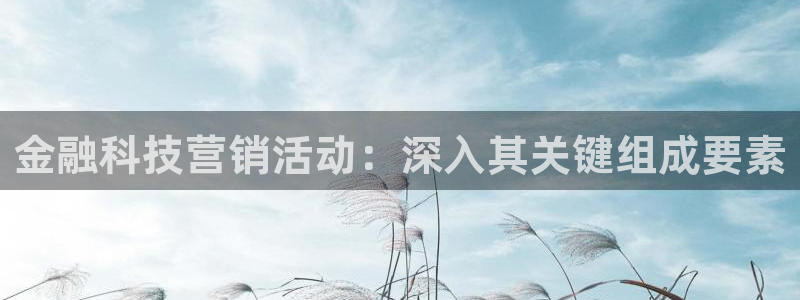 金年会ivp