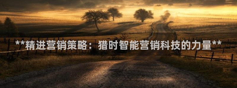 金年会体育网站