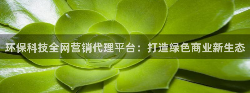 金年会官方网址查询