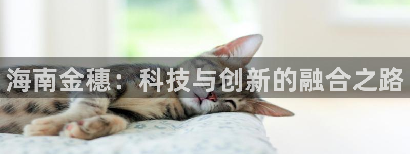 金年会 金字招牌诚信至上在线