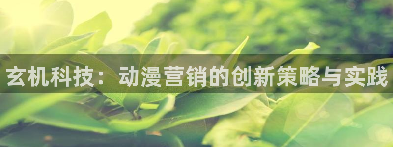金年会体育好不好