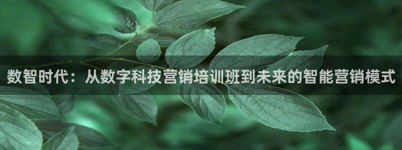 金年会体育app下载安装